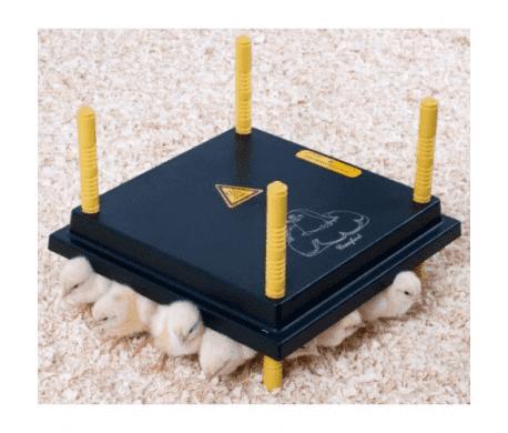 Warmteplaat 25x25 Cm, Dieren en Toebehoren, Pluimvee | Toebehoren