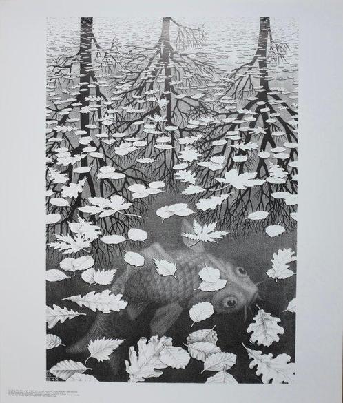 M.C. Escher - Original offset poster - Three worlds, Antiek en Kunst, Antiek | Glaswerk en Kristal