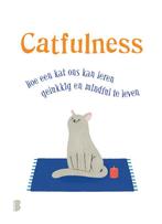 Catfulness 9789022581216 Paolo Valentino, Boeken, Verzenden, Zo goed als nieuw, Paolo Valentino