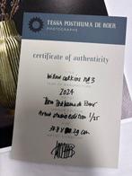 Tessa Posthuma de Boer - Willow Catkins no. 3