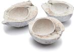 Kokosnoot White Wash halve 15-20 cm per stuk, Nieuw