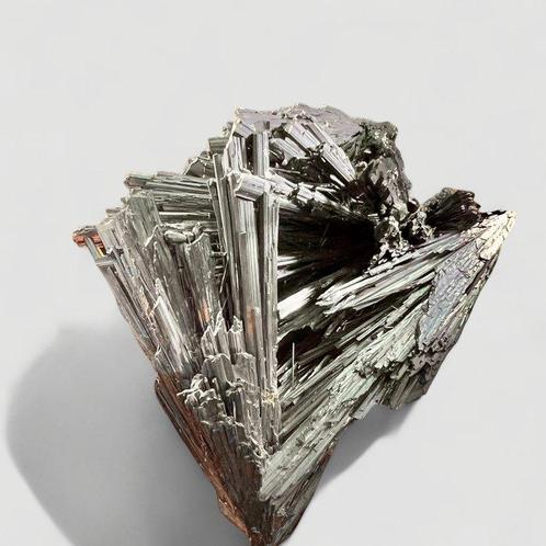 Expédition gratuite vers lEurope -> Ancienne collection :, Verzamelen, Mineralen en Fossielen