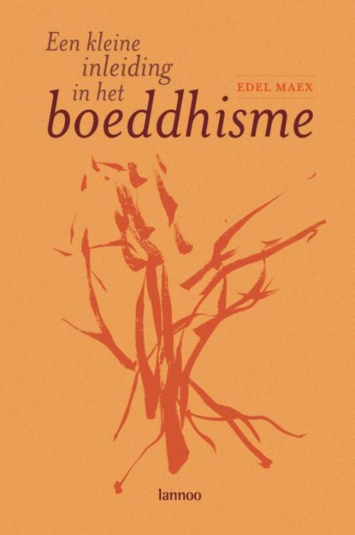 Een kleine inleiding in het boeddhisme 9789020963069 E. Maex, Boeken, Godsdienst en Theologie, Zo goed als nieuw, Verzenden