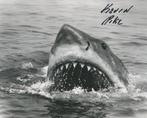 Jaws - Signed by Kevin Pike (S/F/X)
