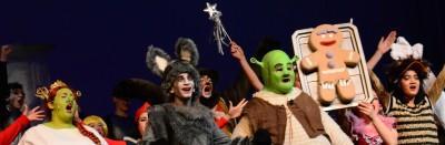 Shrek De Musical Tickets, Tickets en Kaartjes, Overige Tickets en Kaartjes