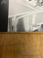 blumenfeld - Affiche Blumenfeld, Antiek en Kunst