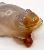 Bactrische of Sino-Siberische Agaat XXS Kikker Bedel