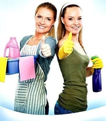 - OPPIO Laminaat Reiniger / 1 LITER / Streeploos, Doe-het-zelf en Bouw, Vloerdelen en Plavuizen, Ophalen of Verzenden