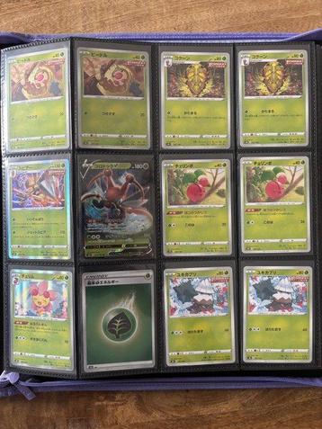 Pokémon - 1 Complete Set - Charizard