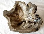 Kom - Bowl - versteend hout - kom, Verzamelen, Mineralen en Fossielen