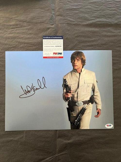 Star Wars, Mark Hamill (Luke Skywalker) - Signed in Person -, Verzamelen, Film en Tv