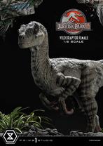 Jurassic Park III Legacy Museum Collection Statue 1/6 Veloci, Verzamelen, Nieuw, Ophalen of Verzenden