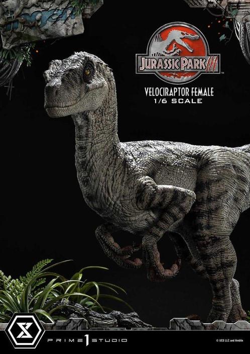 Jurassic Park III Legacy Museum Collection Statue 1/6 Veloci, Collections, Cinéma & Télévision, Enlèvement ou Envoi