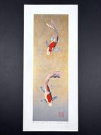 Decembers Comets Fortune Carp Koi fish - Limited editon
