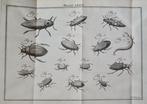 [Martinus Houttuyn] - Natuurlyke Historie, Of uitvoerige, Antiek en Kunst