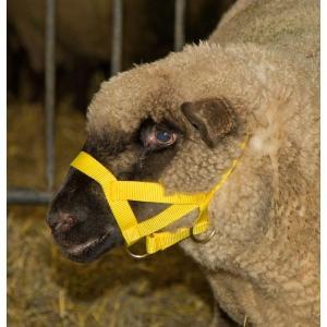 Kophalster voor schapen+bokken nylon - kerbl, Animaux & Accessoires, Box & Pâturages