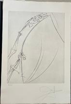 Salvador Dali (1904-1989) - The Rod