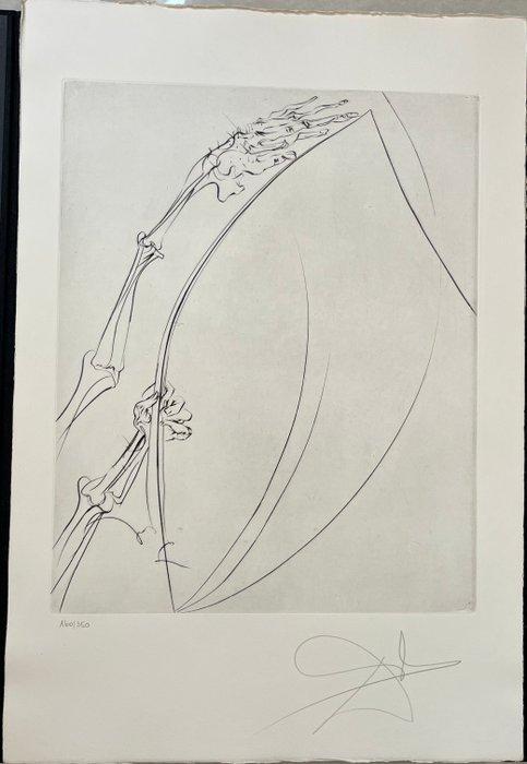 Salvador Dali (1904-1989) - The Rod, Antiek en Kunst, Antiek | Overige Antiek