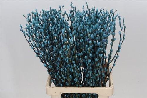 Katjeswilg gekleurde wilgenkatjes salix lichtblauw bundel 10, Hobby & Loisirs créatifs, Bricolage