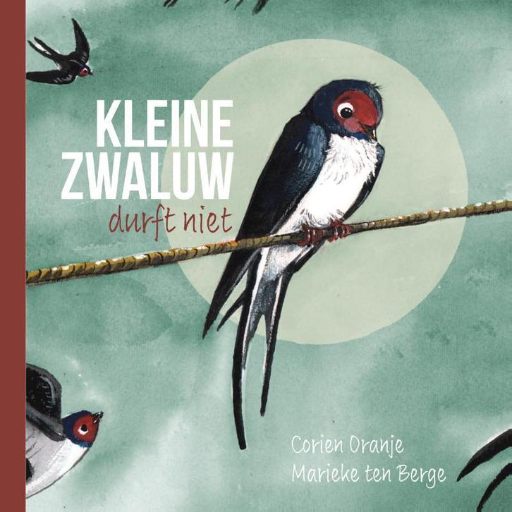 Kleine zwaluw durft niet 9789085434580 Corien Oranje, Boeken, Prentenboeken en Plaatjesalbums, Gelezen, Verzenden