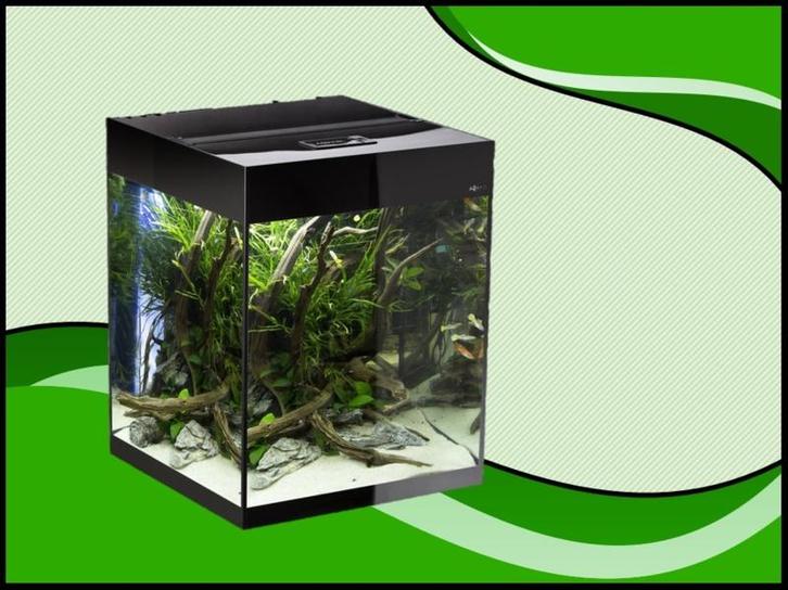 Aquael Glossy cube 50 zwart aquarium (Glossy aquarium serie), Dieren en Toebehoren, Vissen | Aquaria en Toebehoren, Nieuw, Verzenden