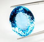 Zonder minimumprijs Topaas - 34.41 ct - Gem Report Antwerp, Nieuw