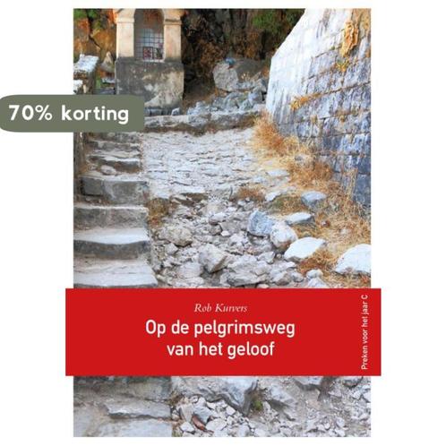 Op de pelgrimsweg van het geloof 9789089721129, Boeken, Godsdienst en Theologie, Gelezen, Verzenden
