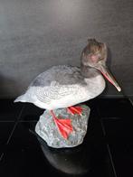 Chineese zaagbek Taxidermie volledige montage - Mergus, Nieuw