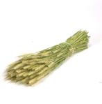 Triticale droogbloemen Naturel Groen per bundel, Huis en Inrichting, Nieuw