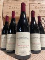 2009 Elise Villiers Bourgogne Le Clos - Bourgogne - 6