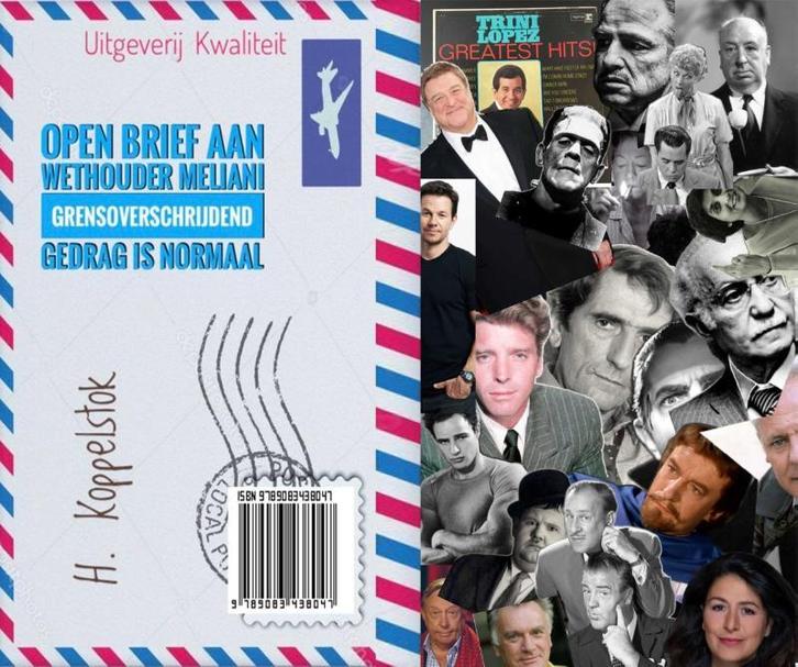 Grensoverschrijdend gedrag is normaal 9789083438047, Boeken, Thrillers, Zo goed als nieuw, Verzenden
