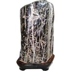 Japanse Suiseki kijksteen – bamboe patroon met houten voet -