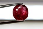 Zonder Minimumprijs Robijn  - 6.45 ct - Lotus Gemology -, Handtassen en Accessoires, Edelstenen, Nieuw