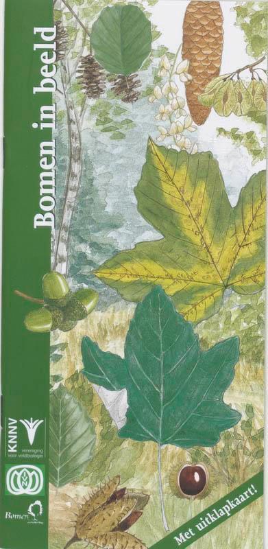 In Beeld 11 - Bomen in beeld 9789050111881, Livres, Nature, Envoi