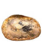 NO RESERVE! - Plateau - bois fossile - Plateau en bois