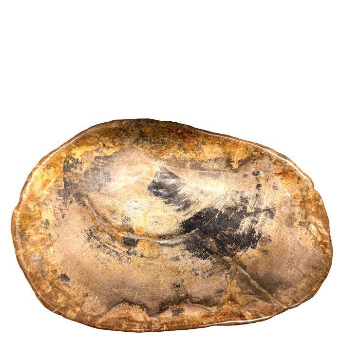 NO RESERVE! - Plateau - bois fossile - Plateau en bois, Antiquités & Art, Art | Art non-occidental