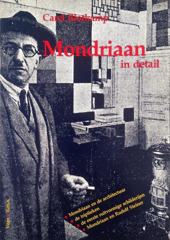 Mondriaan in detail 9789063221478 Blotkamp, Boeken, Kunst en Cultuur | Beeldend, Gelezen, Verzenden