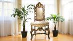 Fauteuil - Verguld hout - Goudenhouten troon