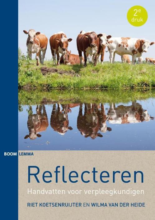 Reflecteren 9789462363939 Riet Koetsenruijter, Boeken, Wetenschap, Gelezen, Verzenden
