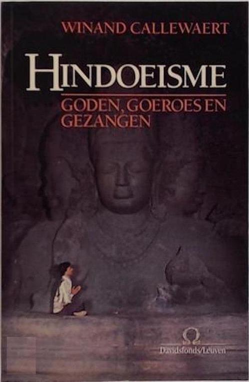 Hindoeisme 9789061528401, Boeken, Godsdienst en Theologie, Gelezen, Verzenden