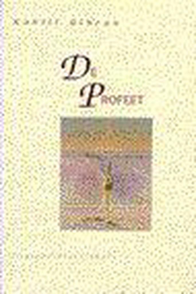 De profeet / Tijdloze klassiekers 9789069632902, Boeken, Filosofie, Gelezen, Verzenden