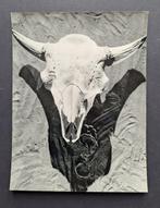 Werner Bischof (1916-1954) - Bison-Schädel [crâne de bison], Antiek en Kunst, Kunst | Schilderijen | Modern