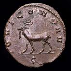 Romeinse Rijk. Gallienus (253-268 n.Chr.). Silvered bronze
