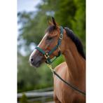 Licol topline - forest - pony - kerbl