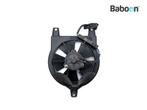 Koelfan Motor BMW F 800 GS 2008-2012 (F800GS 08), Motoren, Verzenden, Gebruikt