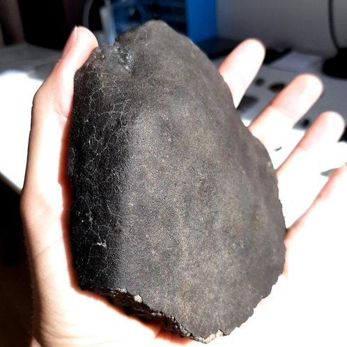 Extrémité coupée dune météorite chondrite. Dotée dune, Verzamelen, Mineralen en Fossielen