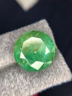 Zonder minimumprijs - 1 pcs Groen Smaragd - 22.56 ct -, Nieuw