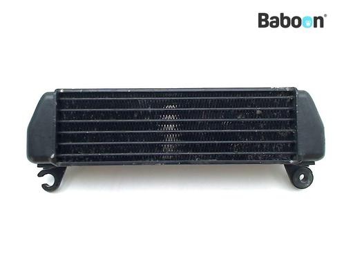 Refroidisseur dhuile BMW R 1200 ST (R1200ST) (17217677546), Motoren, Onderdelen | BMW, Verzenden