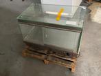 warmhoud vitrine - 50,5x78x48,5 lxbxh, Zakelijke goederen, Ophalen of Verzenden, Nieuw in verpakking
