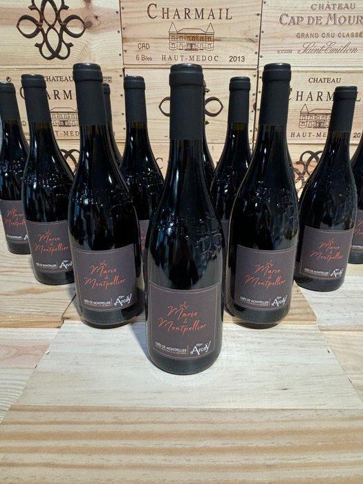 2021 Mas d’Arcay Cuvée 1779 Marie de Montpellier -, Verzamelen, Wijnen